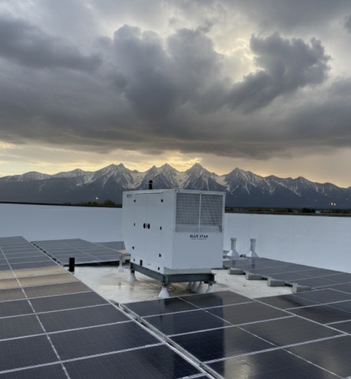 backup power options